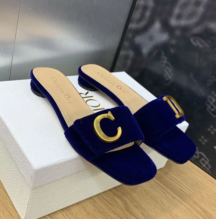 hype Christian Dior Slippers