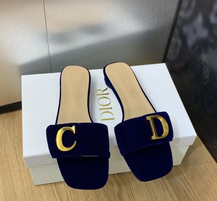 hype Christian Dior Slippers