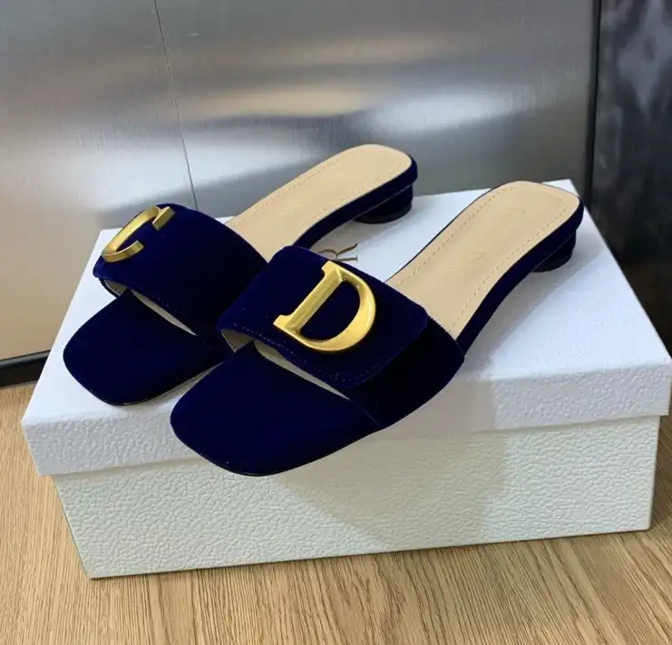 hype Christian Dior Slippers