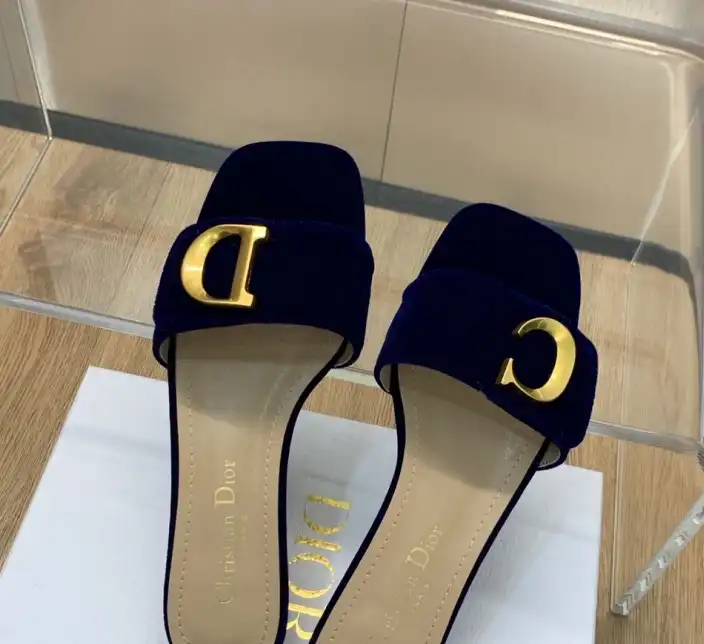 hype Christian Dior Slippers