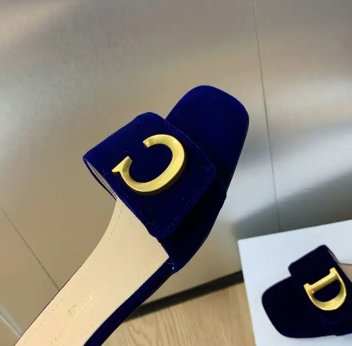 hype Christian Dior Slippers