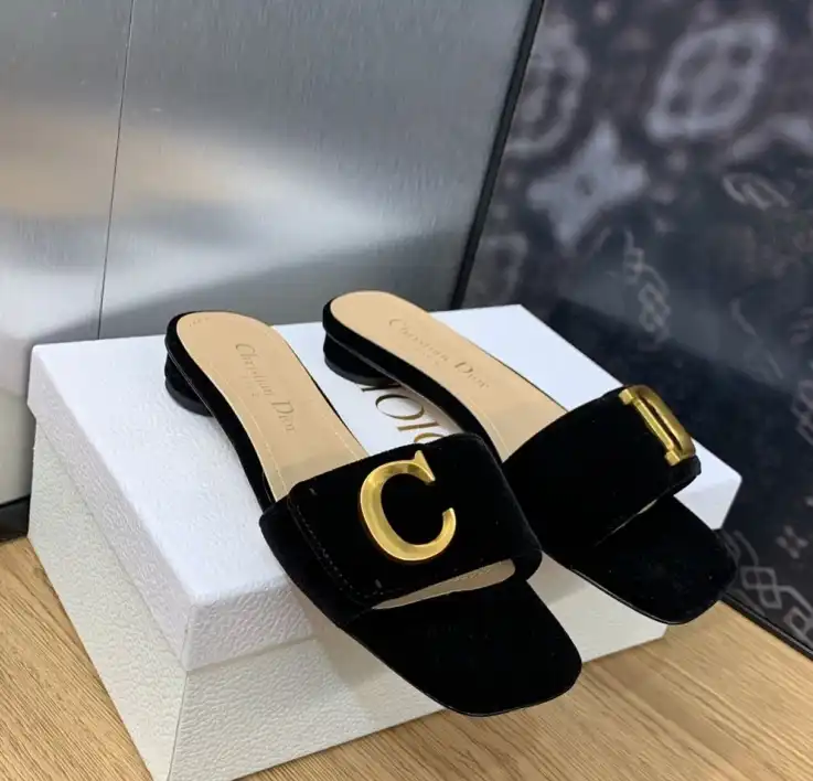 hype Christian Dior Slippers