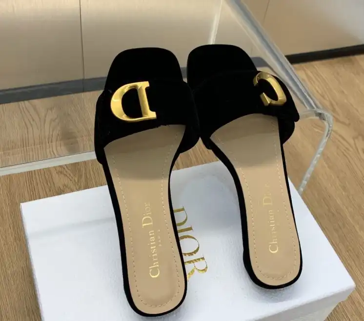 hype Christian Dior Slippers