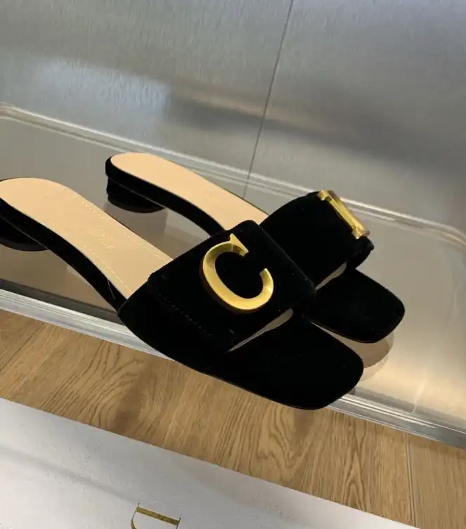 hype Christian Dior Slippers