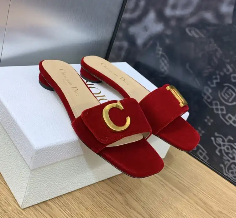 hype Christian Dior Slippers