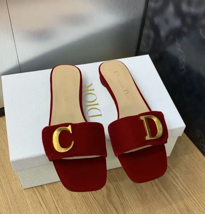 hype Christian Dior Slippers