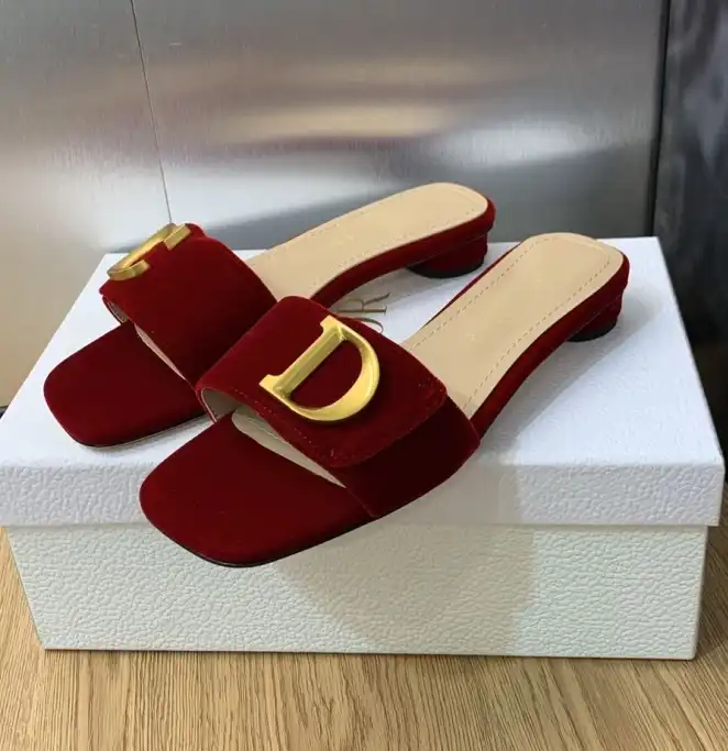 hype Christian Dior Slippers