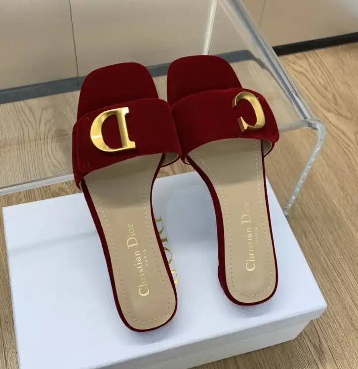 hype Christian Dior Slippers