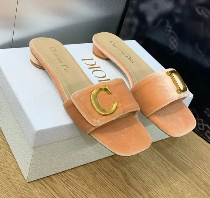 hype Christian Dior Slippers