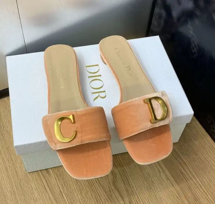 hype Christian Dior Slippers