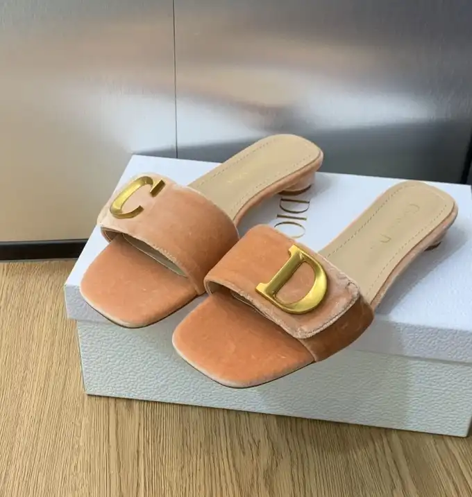 hype Christian Dior Slippers