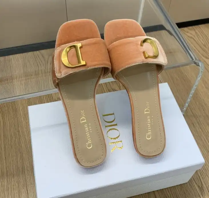 hype Christian Dior Slippers