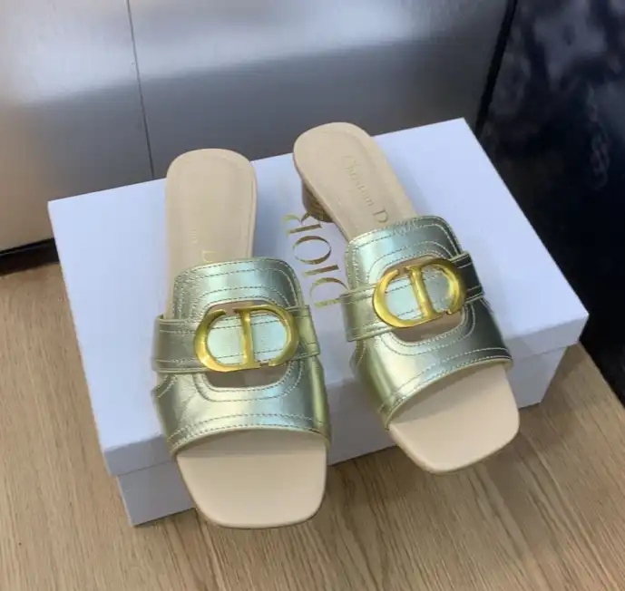 hype Christian Dior Slippers