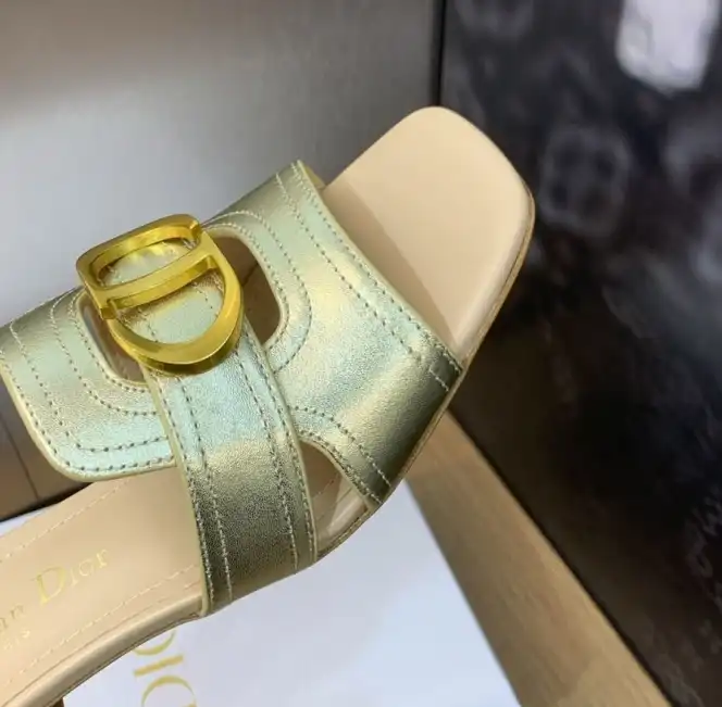 hype Christian Dior Slippers