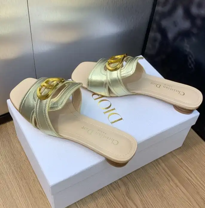 hype Christian Dior Slippers