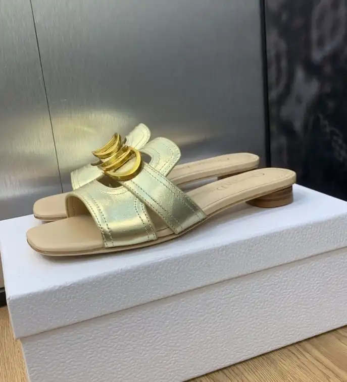 hype Christian Dior Slippers