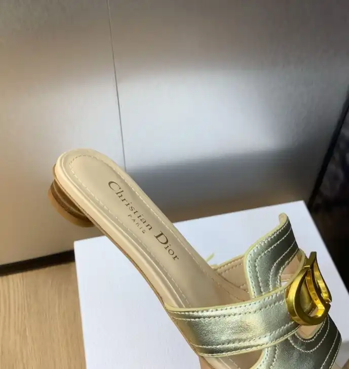 hype Christian Dior Slippers