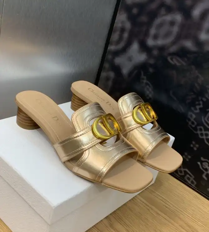 hype Christian Dior Slippers