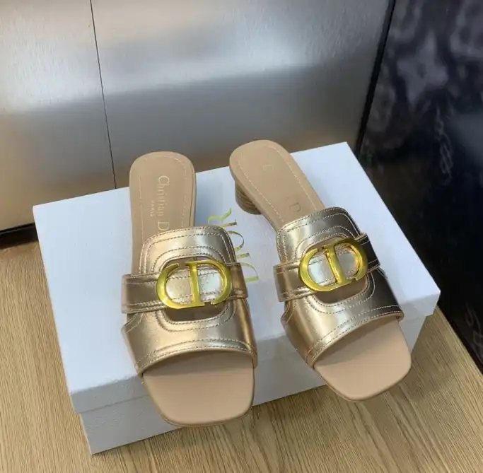 hype Christian Dior Slippers