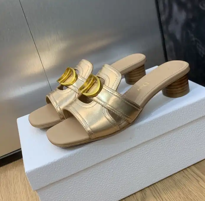 hype Christian Dior Slippers