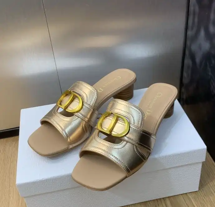 hype Christian Dior Slippers