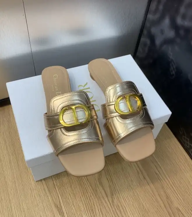 hype Christian Dior Slippers