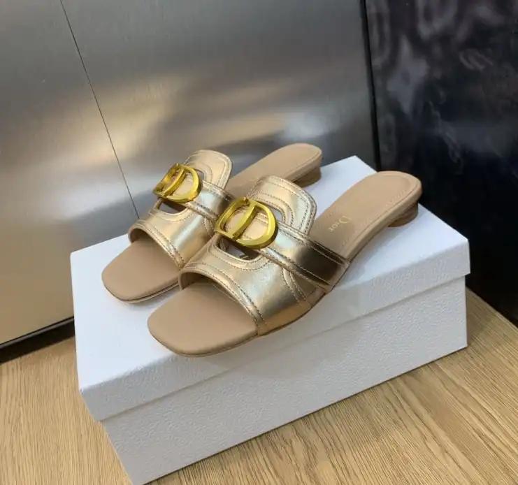 hype Christian Dior Slippers