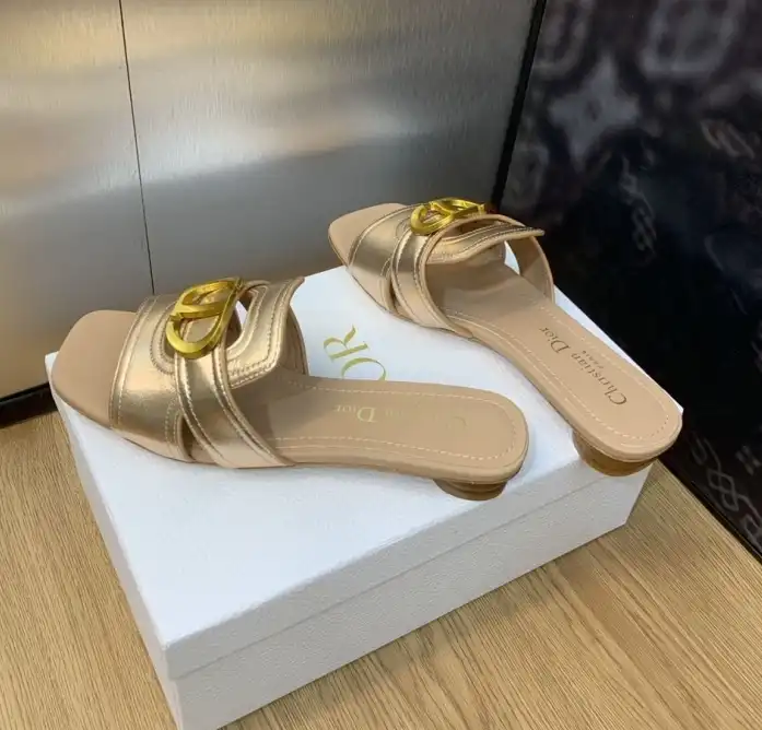 hype Christian Dior Slippers