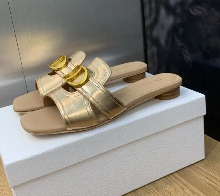 hype Christian Dior Slippers