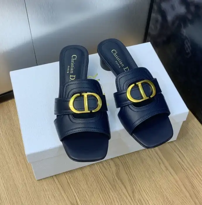 hype Christian Dior Slippers