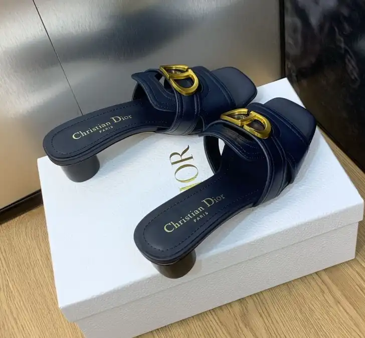 hype Christian Dior Slippers