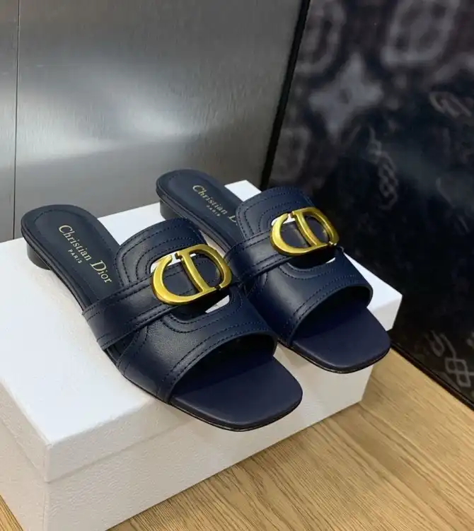 hype Christian Dior Slippers