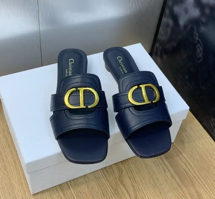 hype Christian Dior Slippers