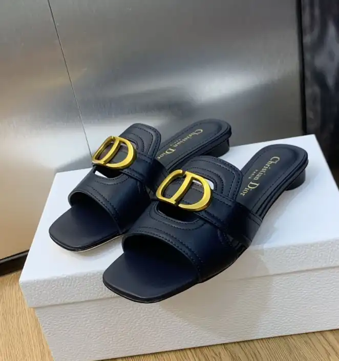 hype Christian Dior Slippers