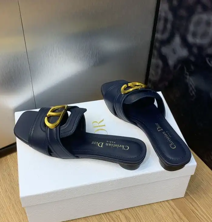 hype Christian Dior Slippers