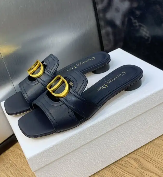 hype Christian Dior Slippers