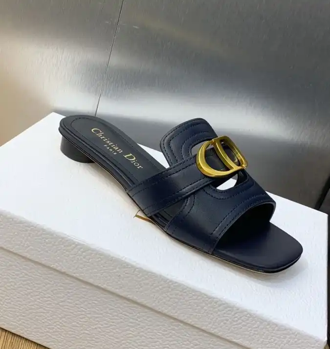 hype Christian Dior Slippers