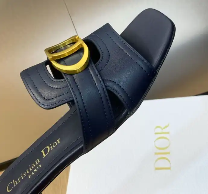 hype Christian Dior Slippers