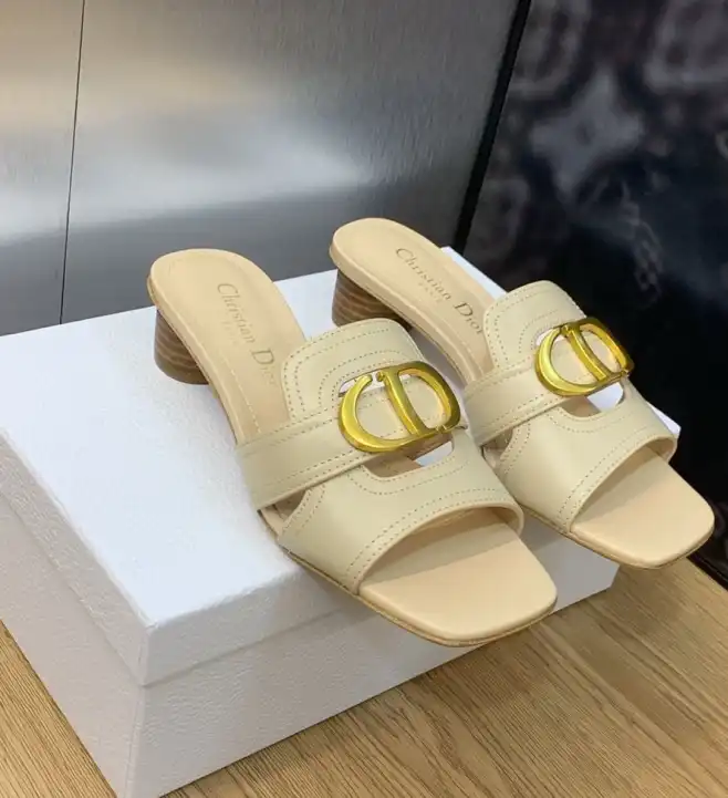 hype Christian Dior Slippers