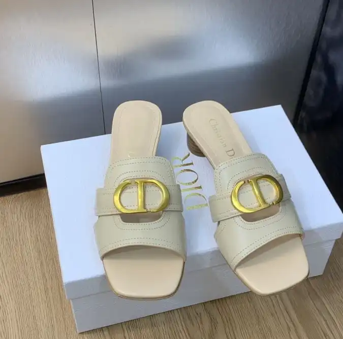 hype Christian Dior Slippers