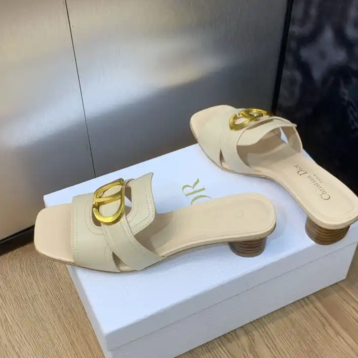 hype Christian Dior Slippers