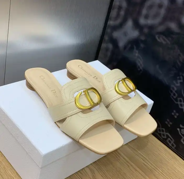 hype Christian Dior Slippers