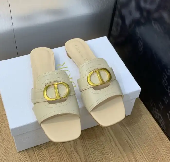 hype Christian Dior Slippers