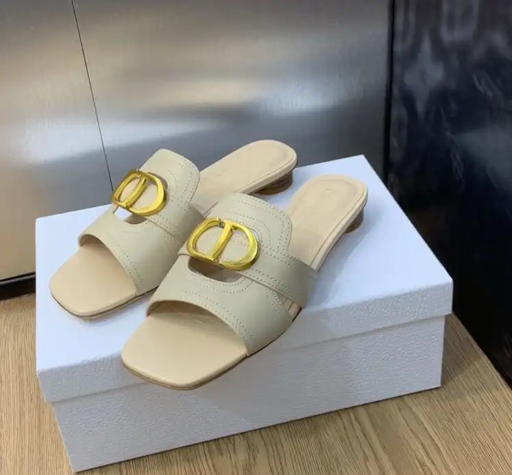 hype Christian Dior Slippers