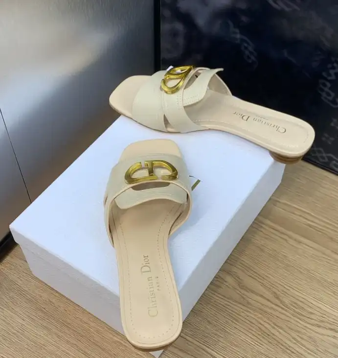 hype Christian Dior Slippers