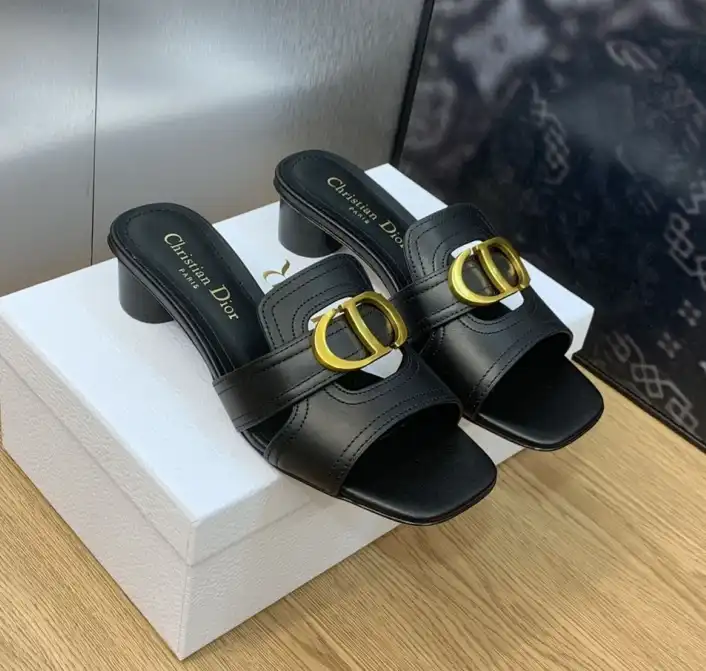 hype Christian Dior Slippers