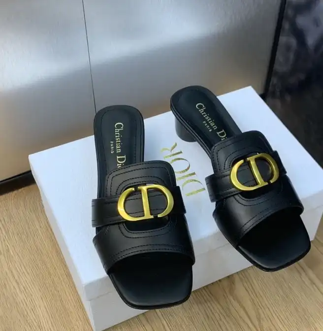 hype Christian Dior Slippers