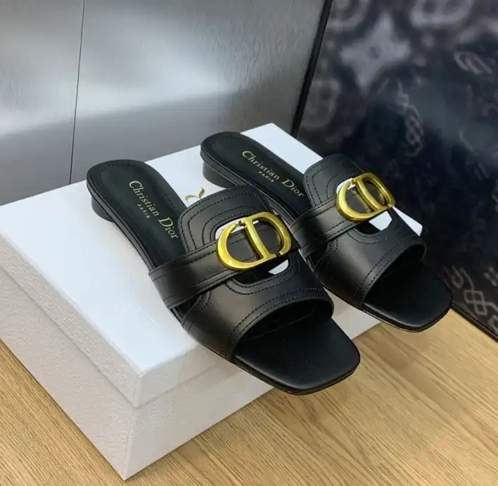 hype Christian Dior Slippers