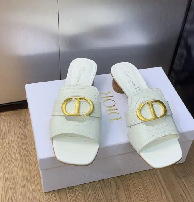 hype Christian Dior Slippers