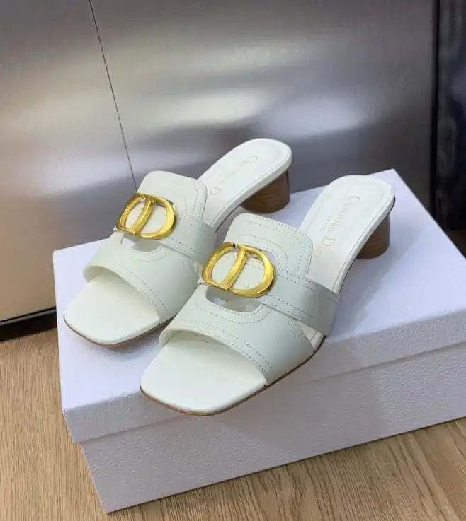 hype Christian Dior Slippers